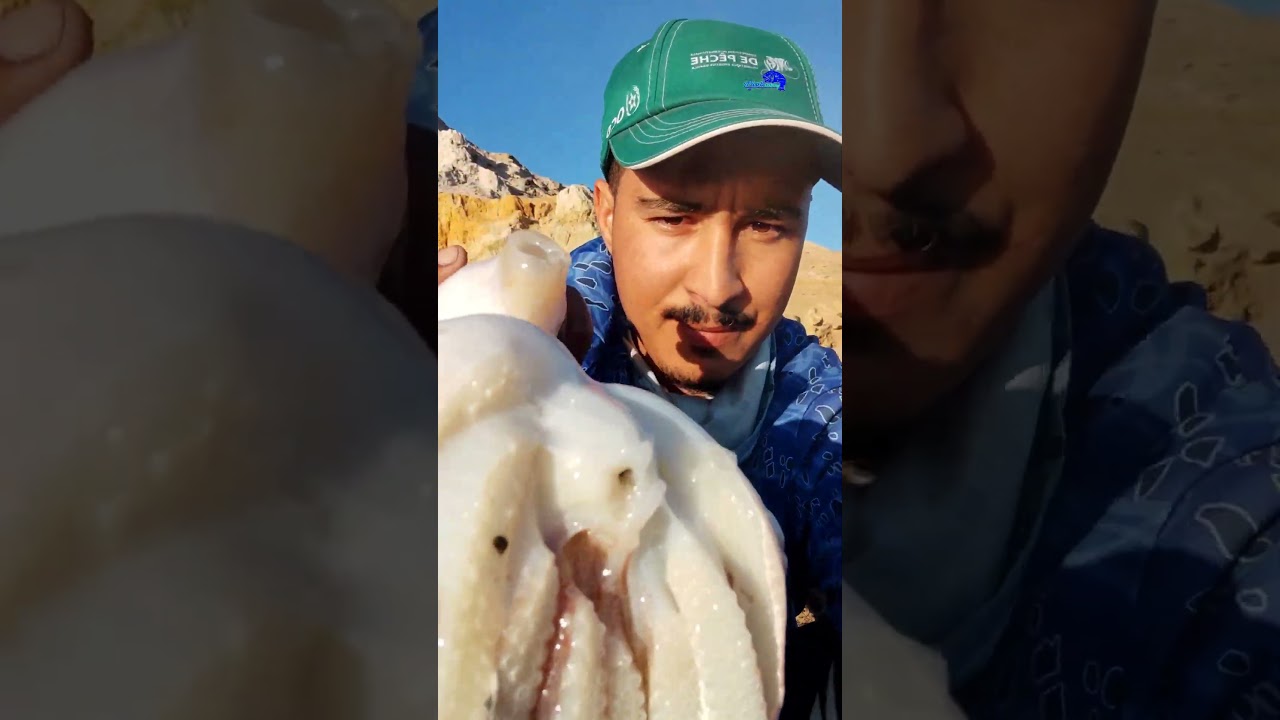 سيبيا بوزن 2.9kg 🧐🦑