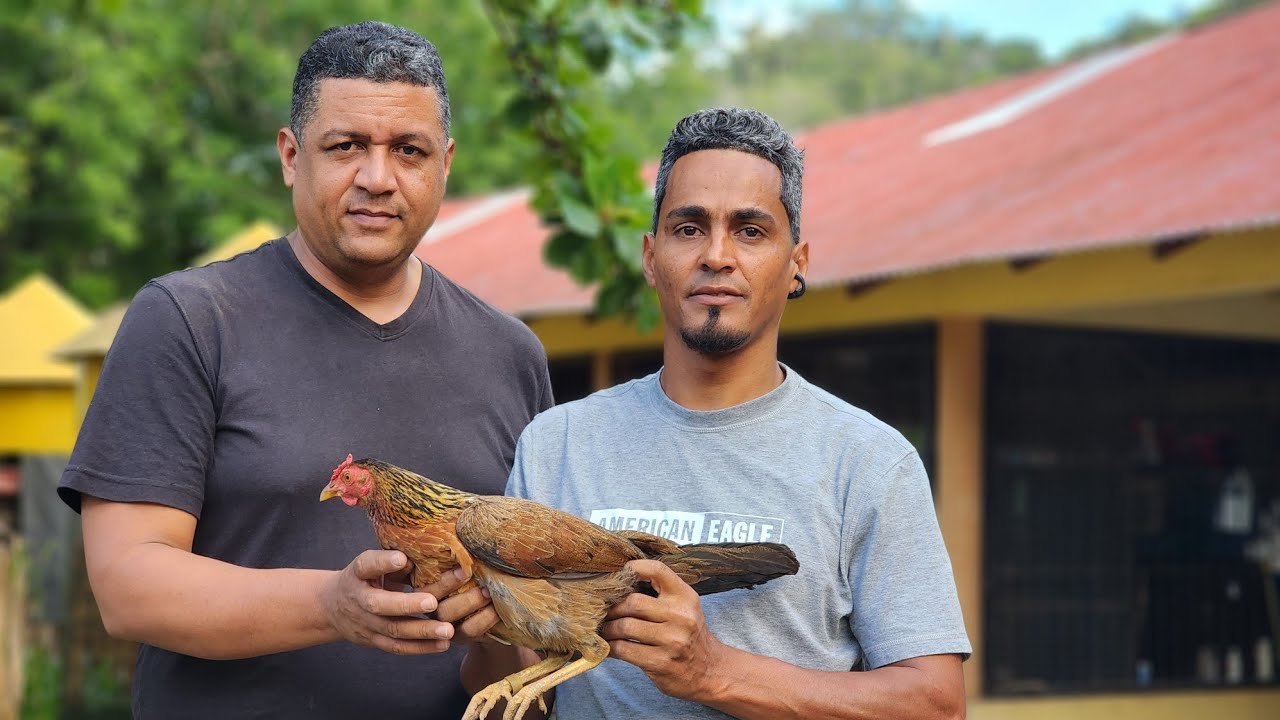 Willy checo recibe a Robert de los Moñas a Buscar una Gallina