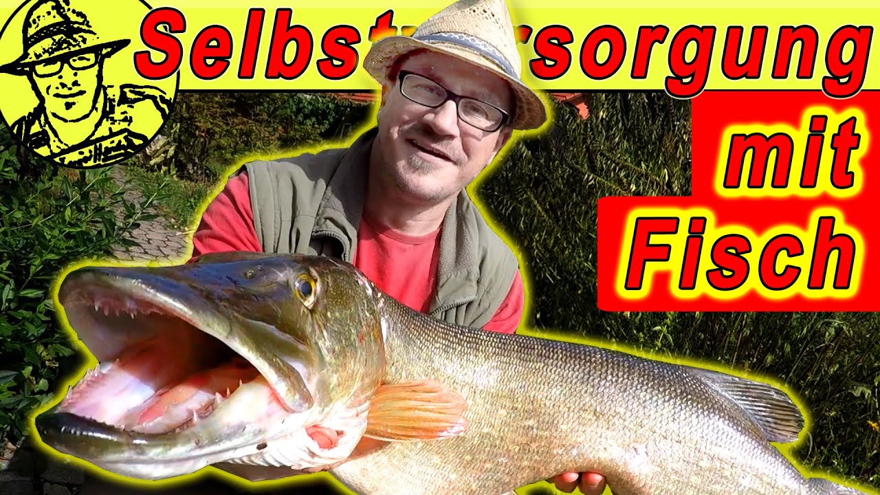 Auch das ist Selbstversorgung: Gro&szlig;er HECHT geangelt und: Profi zeigt, wie man den Fisch filetiert