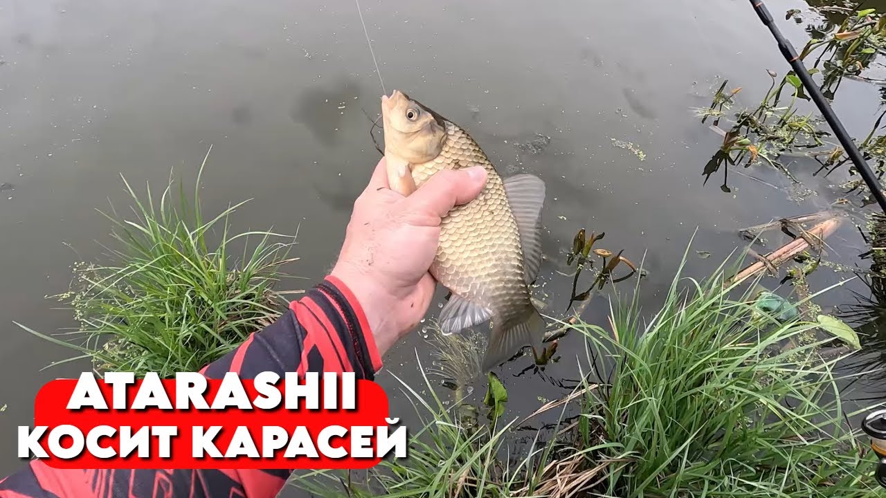 ПОПАЛ НА ЖОР КАРАСЯ В МАЕ! РАБОТАЕТ ТОЛЬКО МОРМЫШИНГ! Рыбалка 2025
