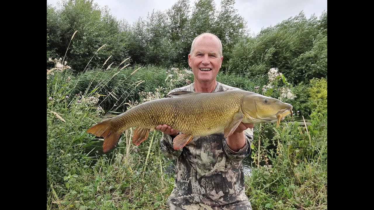 Big barbel and chub late July 2022 part 2