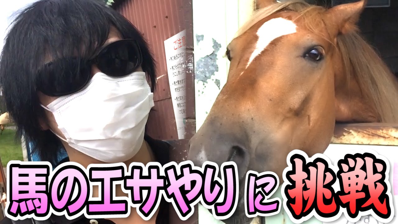 マザー牧場で馬のエサやりに挑戦！【フジ・レトルト・牛沢】