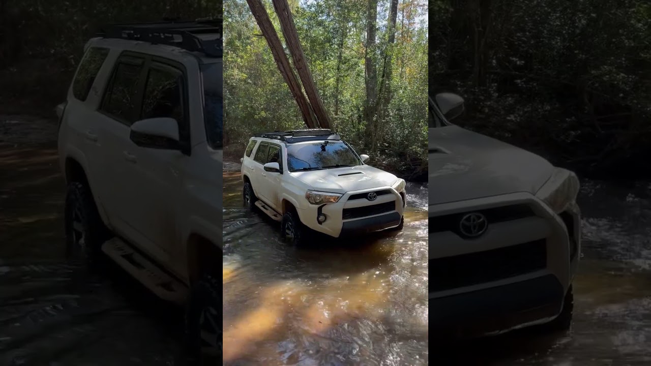4Runner Paradise #4runner #overland #florida