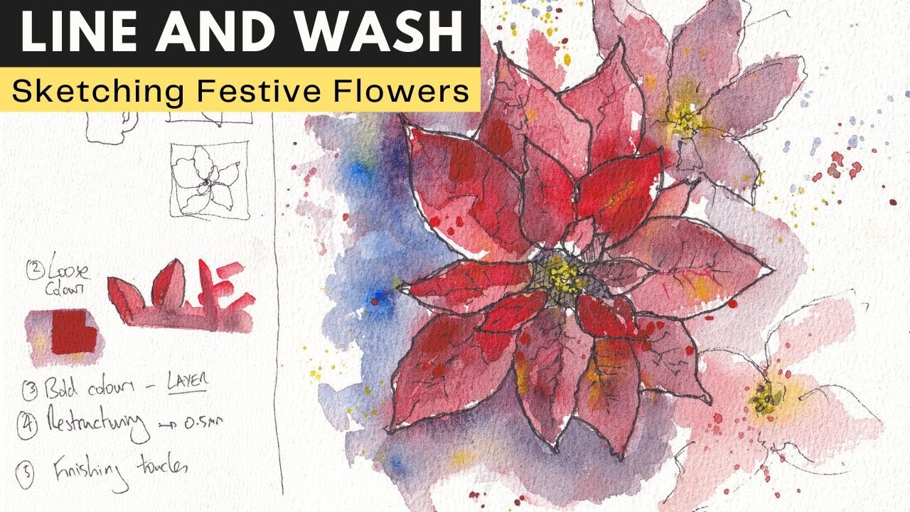 Botanical Ink and Watercolour for Beginners - How to Draw a Poinsettia