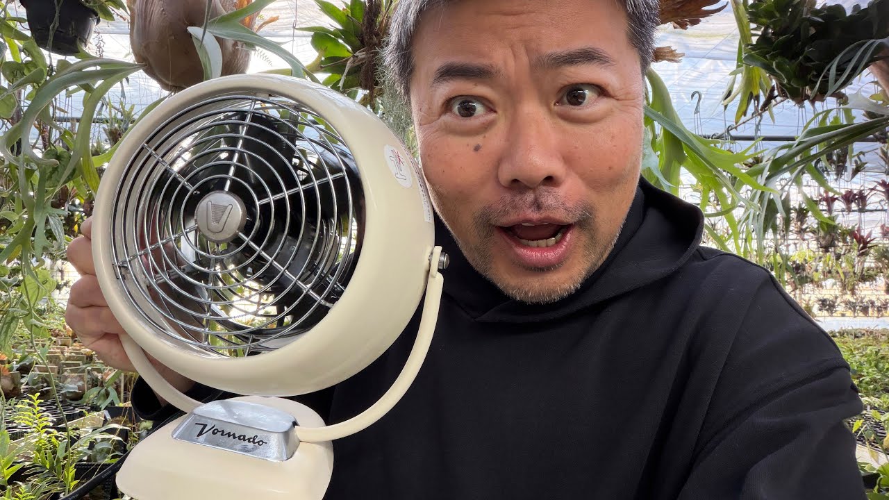 【園芸初心者】冬の管理で重要❗️風について解説❗️