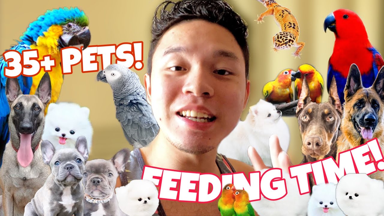 FEEDING ALL OF OUR PETS!! (2022)