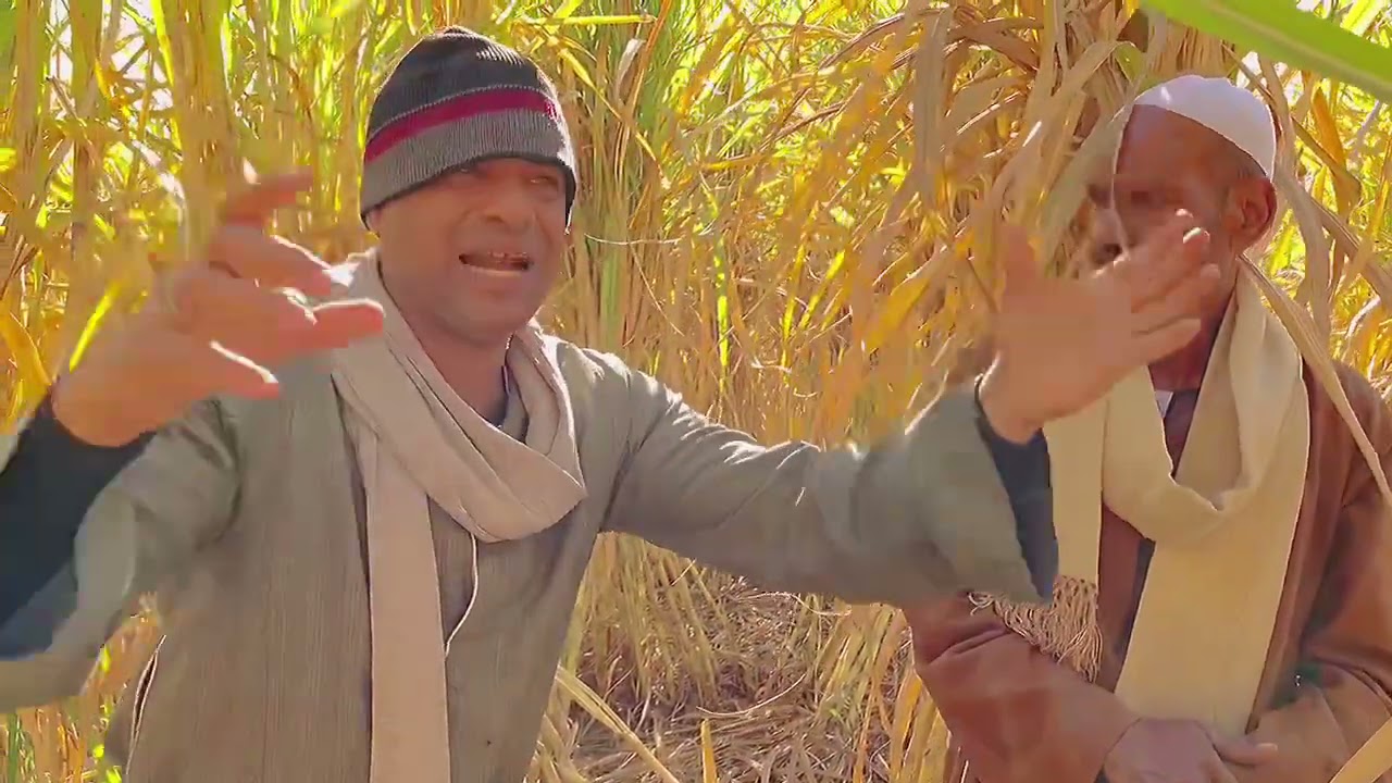 الحاج الضوى فشكل الجوازه العروسه عاوزه حمام مغربى 😅😅😅