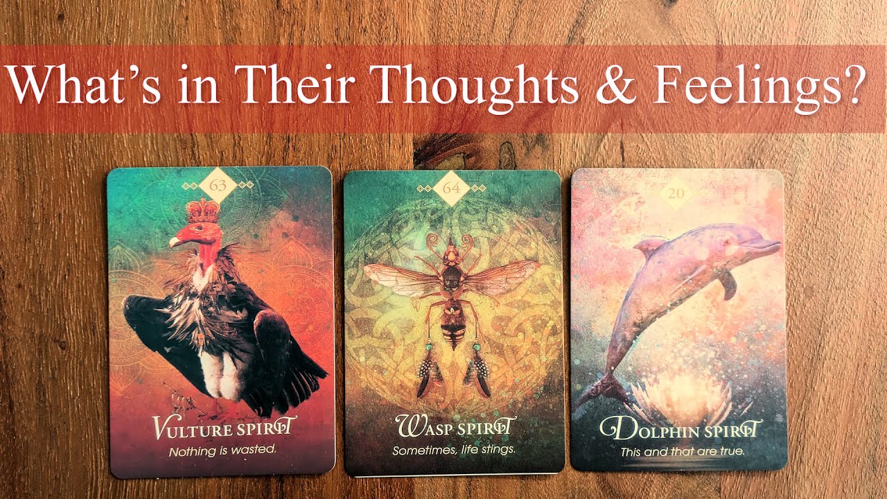 What's in Their Thoughts & Feelings? 💭💖 Brutally Honest Pick-a-Card Tarot Reading