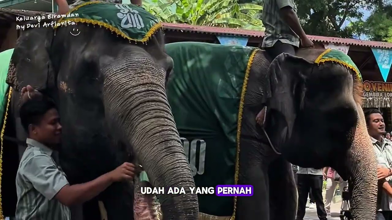 Gembira Loka Zoo Yogyakarta | Tahun Baru 2025/2026