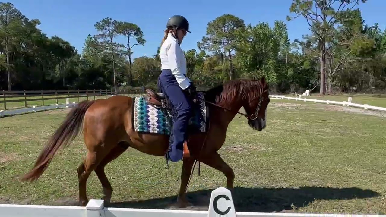 Queenagers Limited Edition INT1-A intro Test 1 Jeanne & Reno