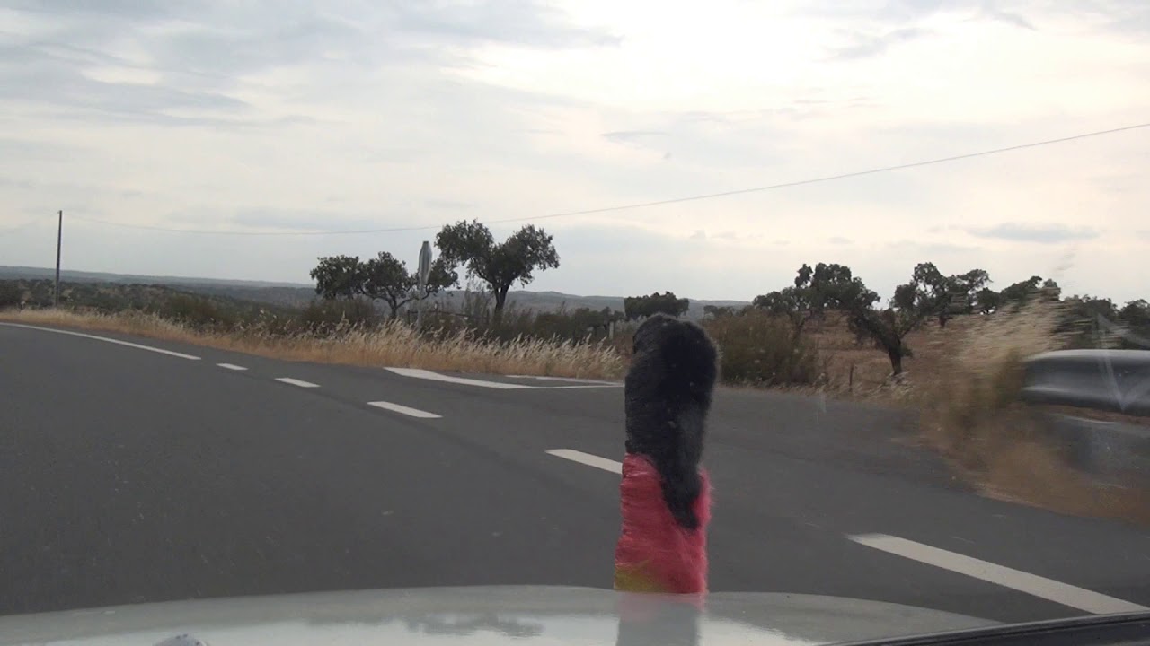 São Marcos do Campo Amieira N255 Portugal 27.5.2017 #1316