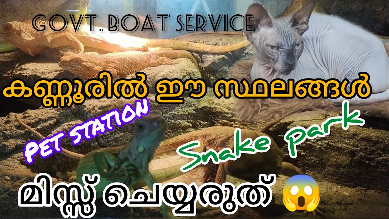 One day tour kannur pet station boat service snake park ലേക്ക് ഇതൊക്കെ കണ്ണൂർ ആണോ #petstationkannur