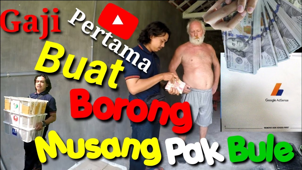 GAJI PERTAMA DARI YOUTUBE | BUAT BORONG MUSANG PAK BULE DARI BELANDA