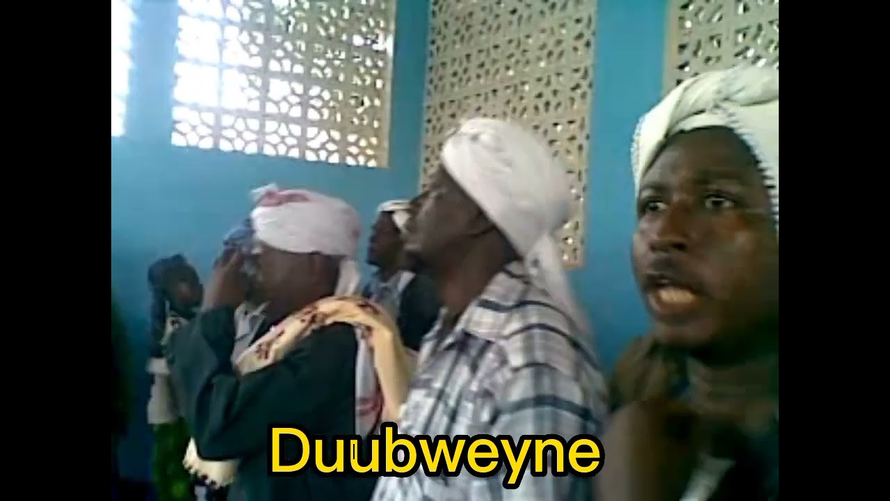 Digri saalixi moowlaca