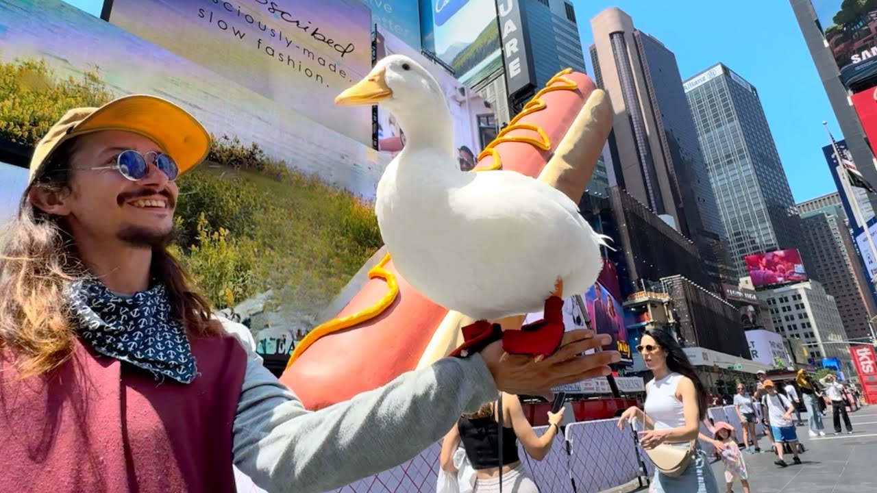 I took my duck to A GIANT HOTDOG 🌭