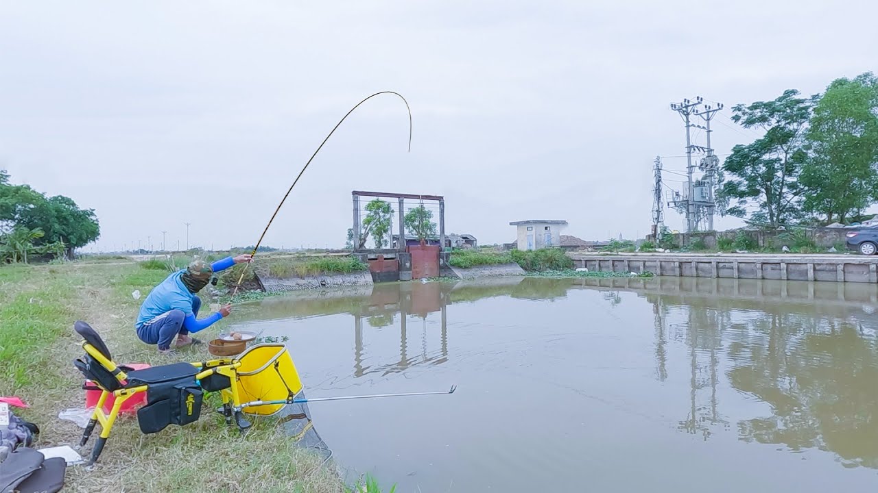 Điểm C&acirc;u Nhiều C&aacute; Diếc tập 2 | H&ograve;a B&igrave;nh - Vĩnh Bảo - Hải Ph&ograve;ng
