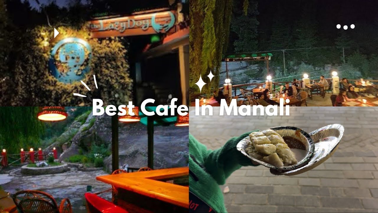 The Lazy Dog Cafe  |  Top places to visit in manali | Best cafes in Manali | Manali Mall Road |