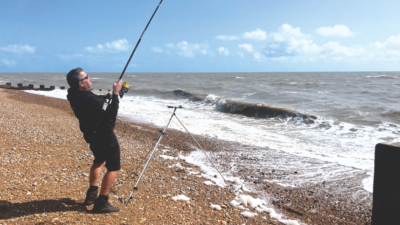 Sea Fishing Surprise!! A rare catch Today ...