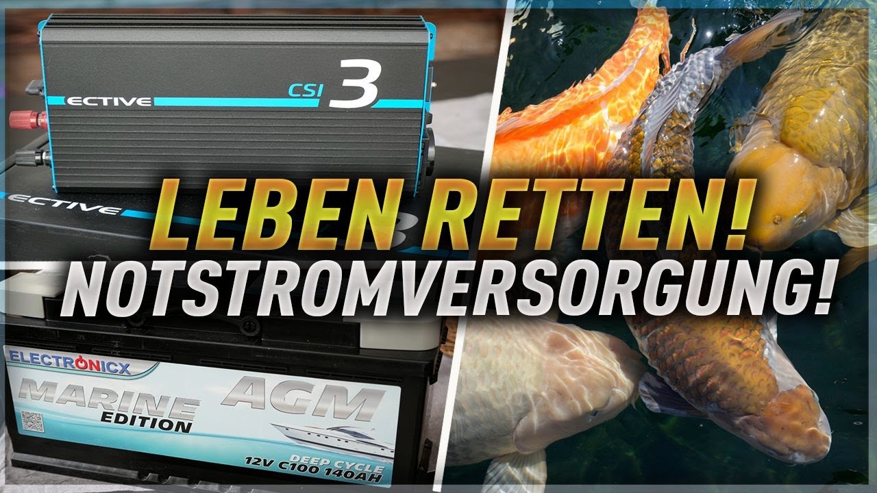 DIY NOTSTROMVERSORGUNG g&uuml;nstig und leicht selber bauen! So sichere ich meinen KOITEICH!