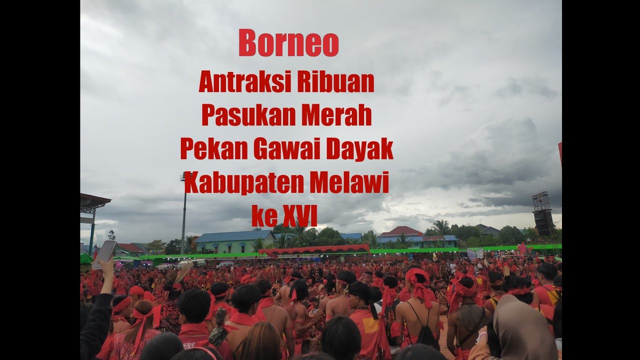 Antraksi Pasukan merah di Pekan Gawai Dayak Kabupaten Melawi ke XVI 2024