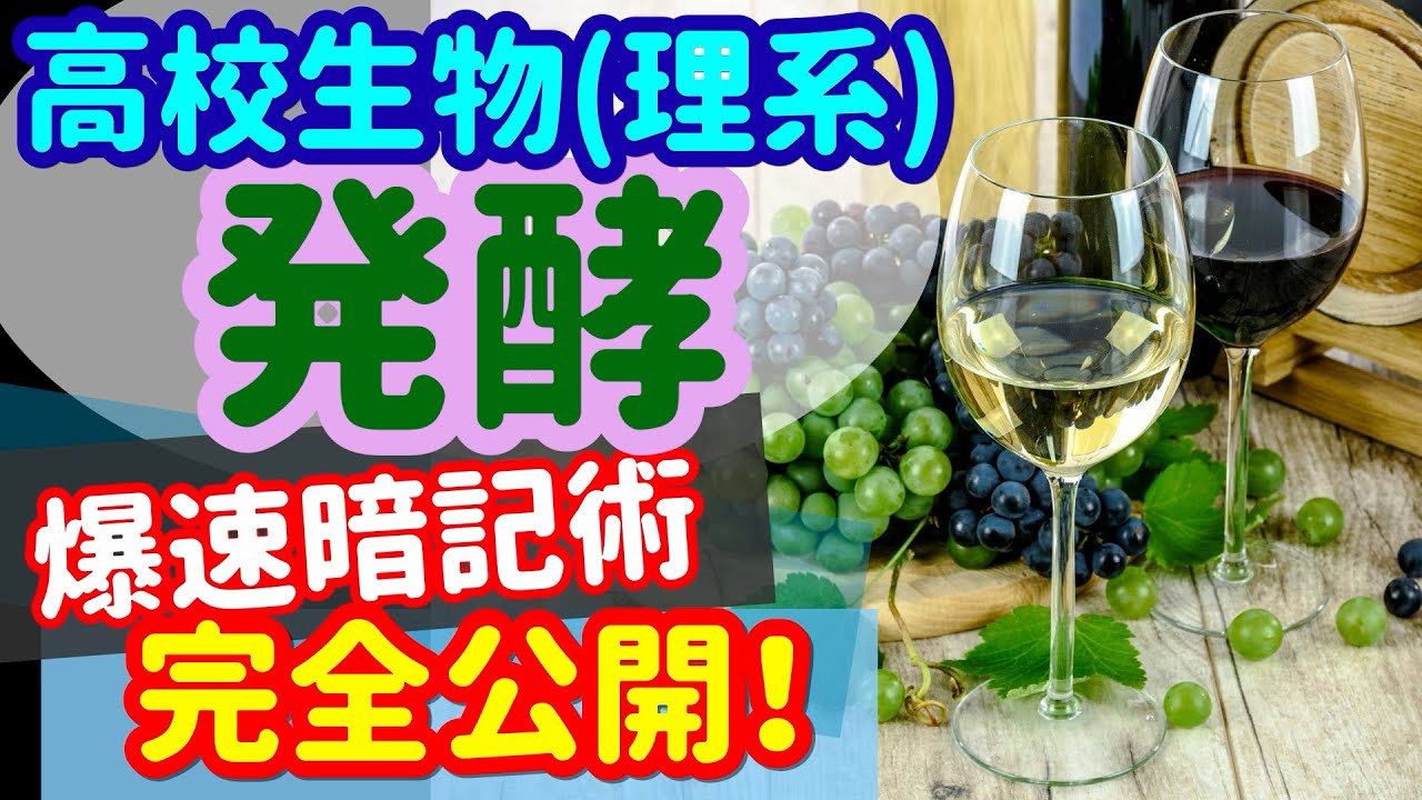 【高校生物 6】代謝【発酵】を宇宙一わかりやすく