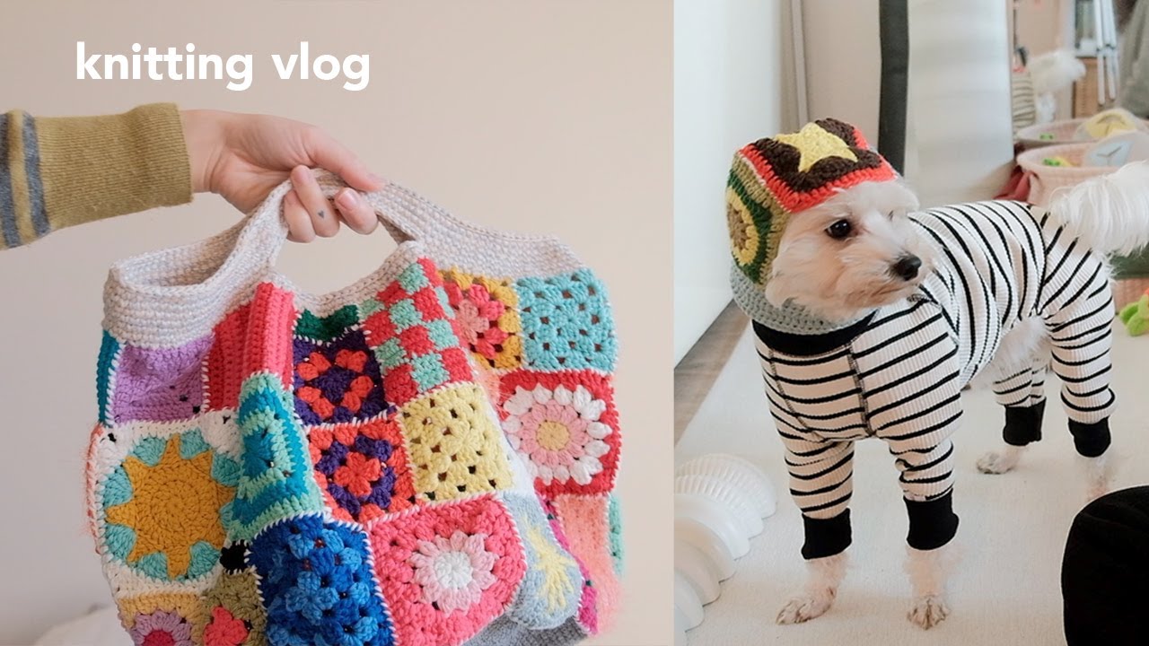 다시 만난 뜨개 | 강아지와 함께 뜨는 시간