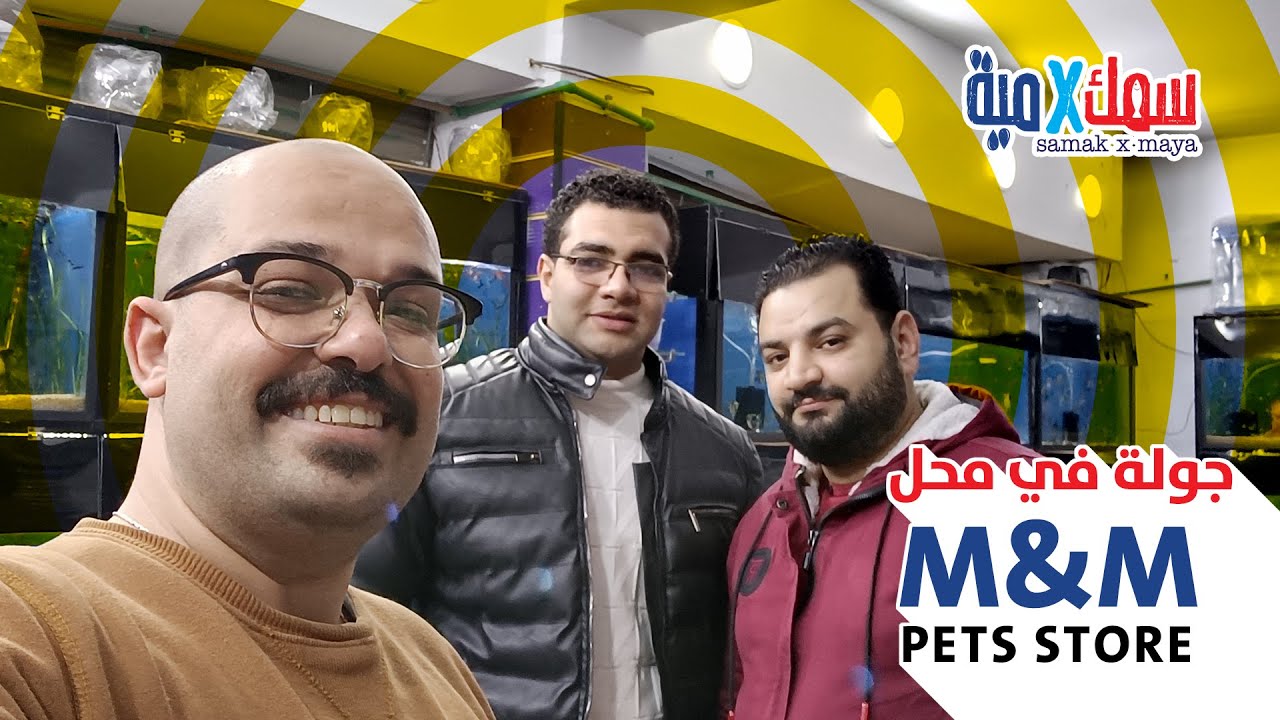 جولة في محل  M&M pets store اجمل تشكيله و اسعار في محافظة الجيزة
