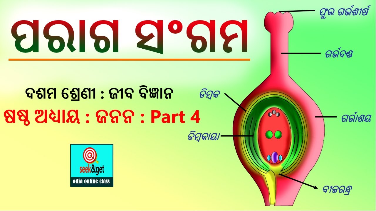 10th life science reproduction in odia part 4 | pollination odia | ଜନନ ପରାଗଣ  | seek&get