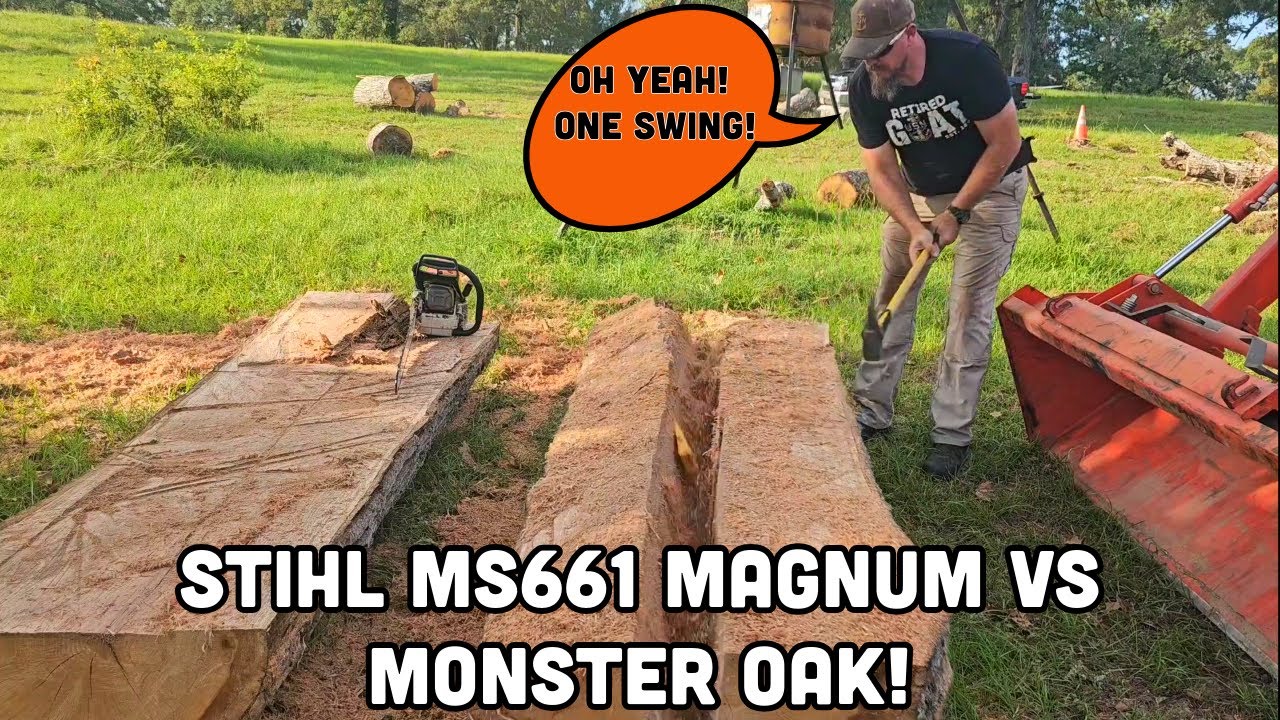 Felling Giants: Stihl MS661 vs. MONSTER Oak