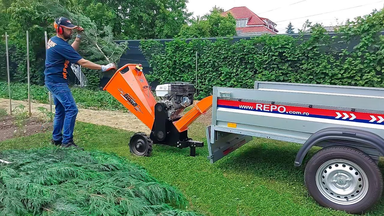 MULCIRE AFINI CULTURĂ. TOCĂTURĂ CRENGI CHIPAROS LEYLANDII. TOCĂTOR DE CRENGI RURIS ST500