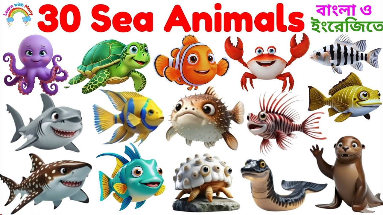 Sea Animals Name | Learn 30 Sea Animals Name for Kids | Sea Animals Name in English with Pictures