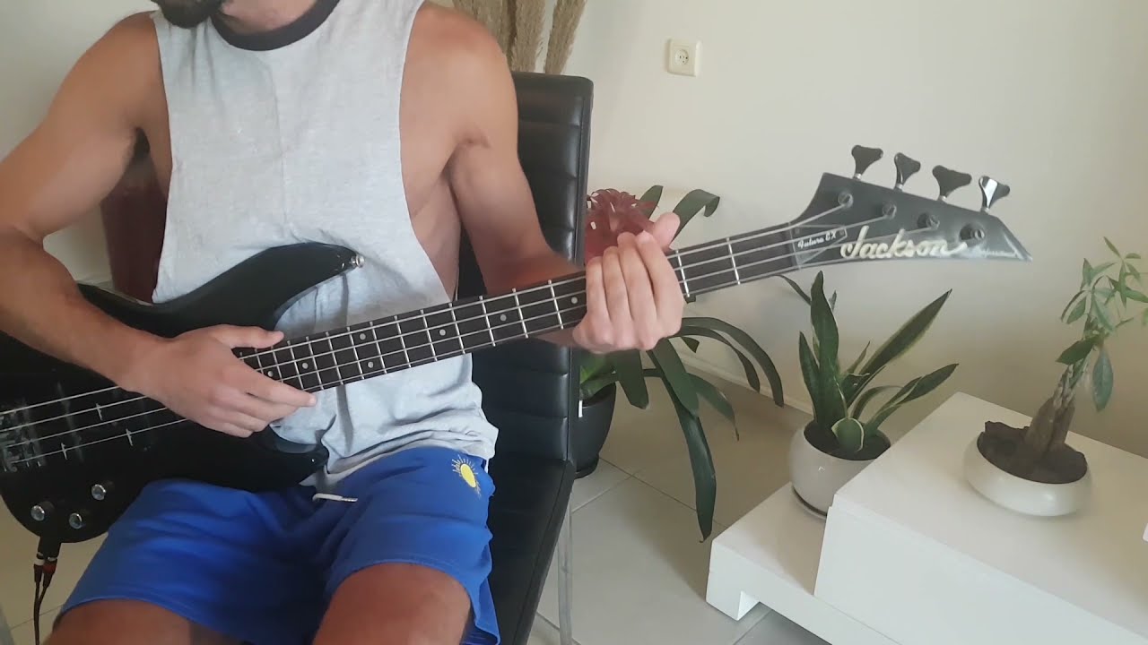 Lana Del Rey - Born to Die Bass Cover with TABS on screen