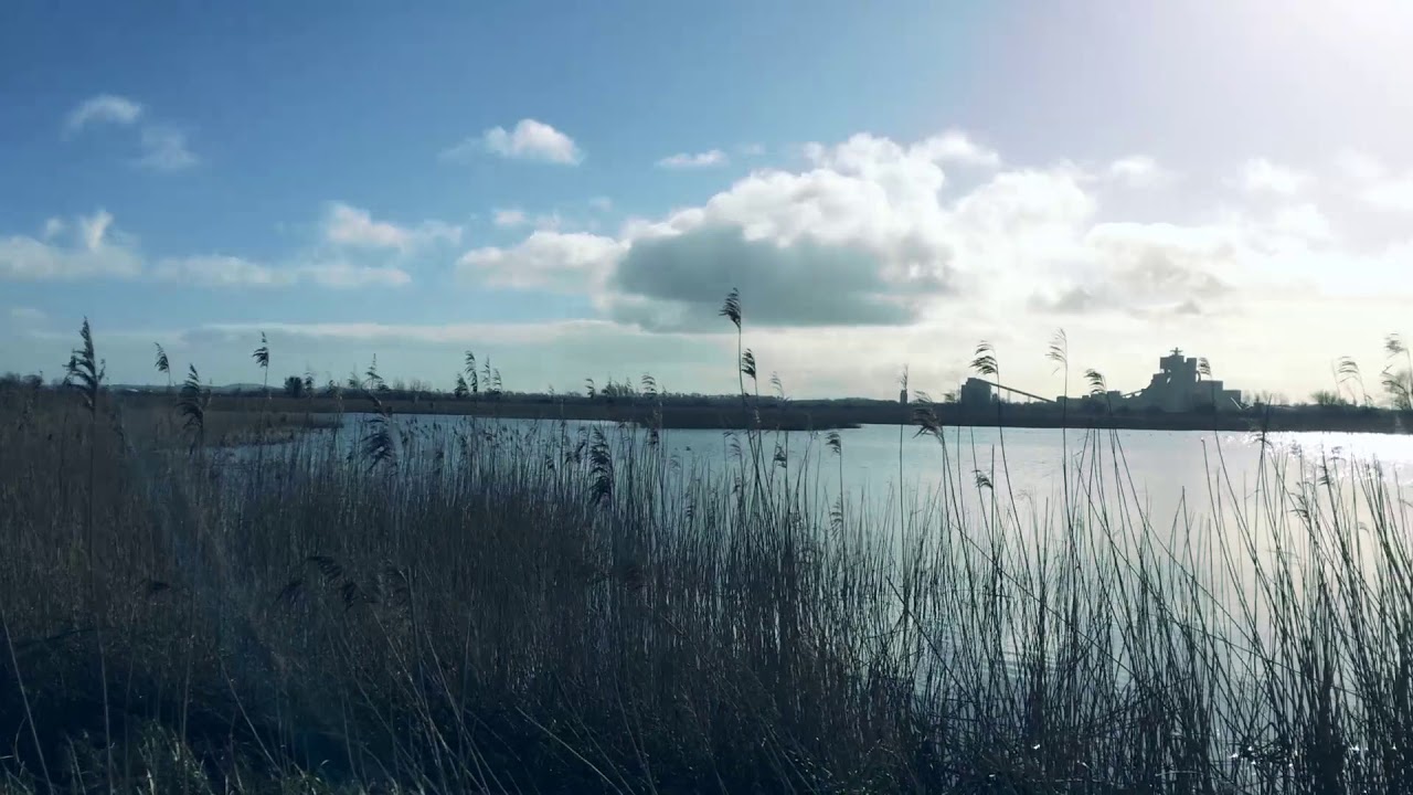 Coonagh & The River Shannon Estuary