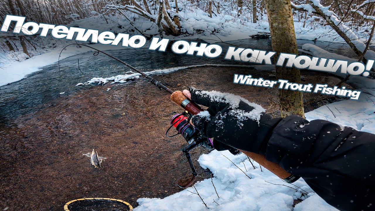 ПОТЕПЛЕЛО И НАЧАЛАСЬ АКТИВНОСТЬ! | Ловля форели на спиннинг зимой #рыбалка #впоискахпятен #форель