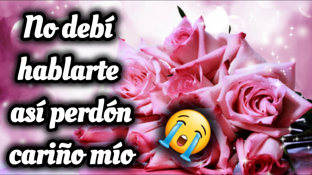 No debí hablarte así perdóname