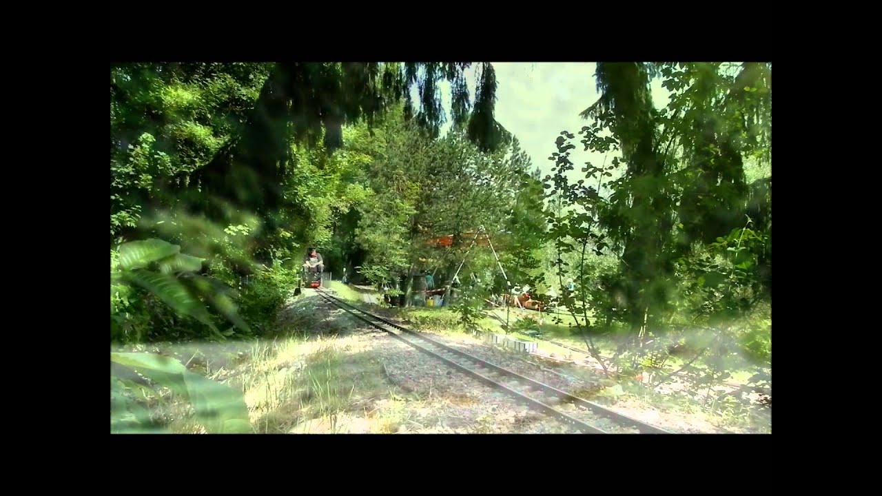 10. Z&uuml;rcher Dampfmodell Tage 4.6.2011