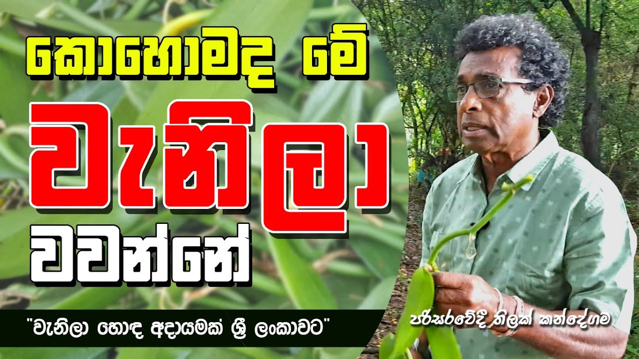 කොහොමද මේ 
