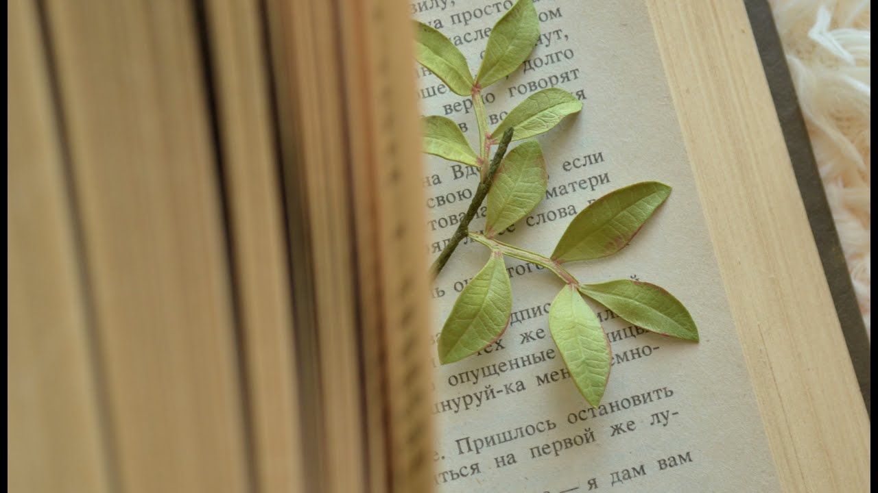 Как истончить иранский фом (фоамиран), как работать с молдом