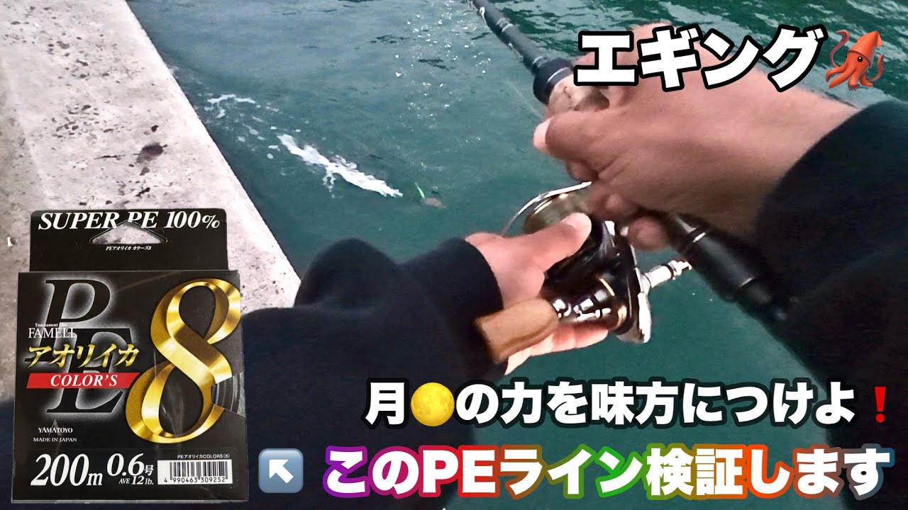 ［エギング］このPEラインコスパ最高かも知れない。満月エギング編❗️