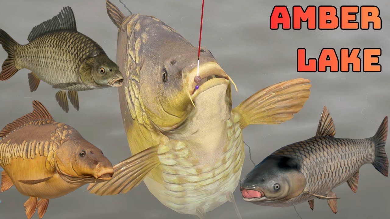 Russian Fishing 4 AMBER LAKE NO PVA BIG CARP SPOT (276)