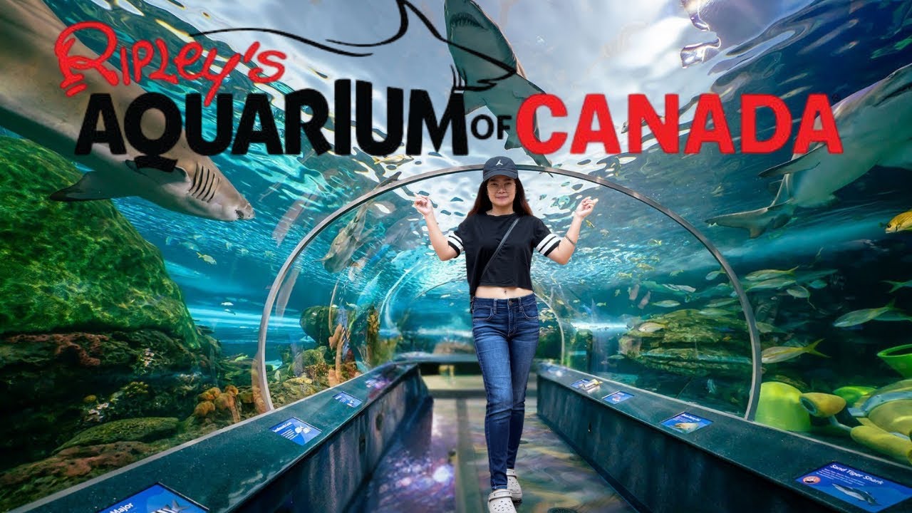 [4K] Discover Ripley’s Aquarium of Canada | Toronto’s Top Underwater Adventure 2025 | 4K