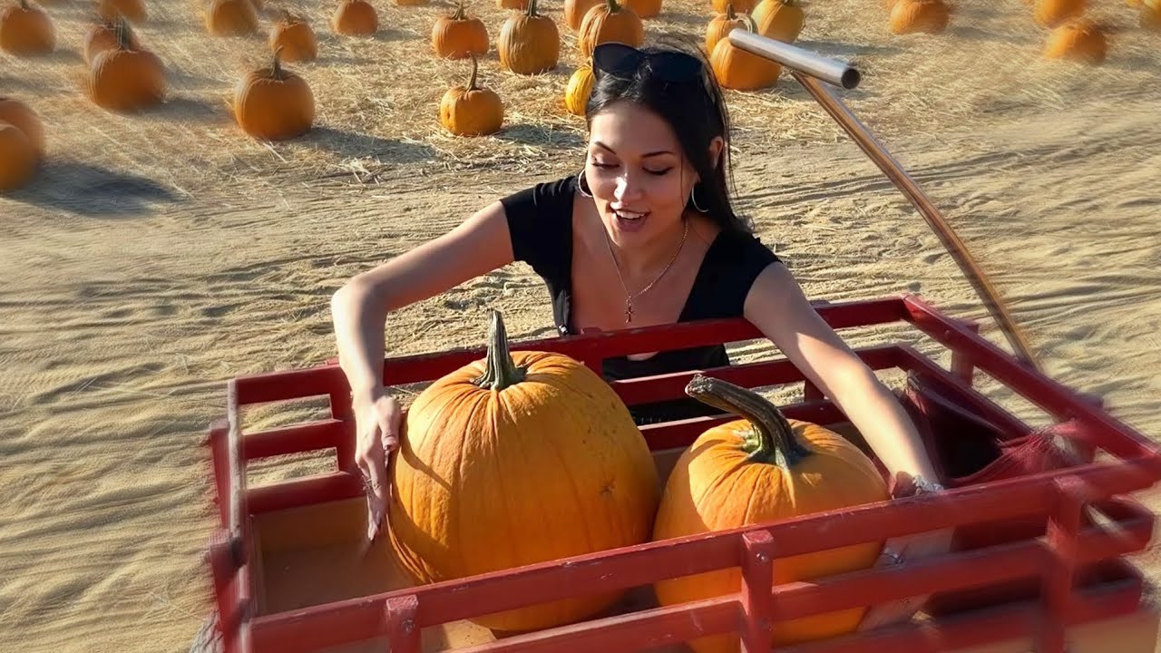 PUMPKIN PATCH VLOG 