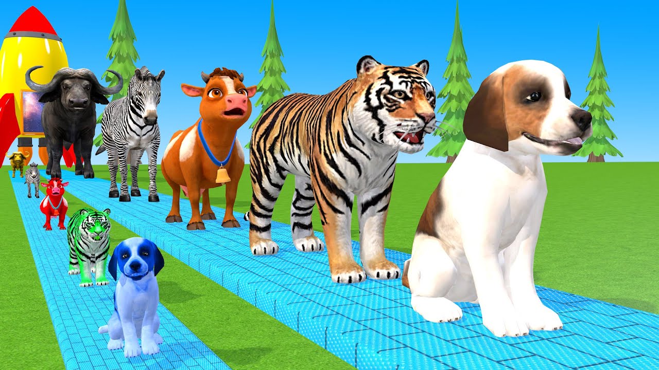Long Slide Game With Cow Elephant Gorilla Hippopotamus Tiger 3d Animal Game Funny 3d Animals