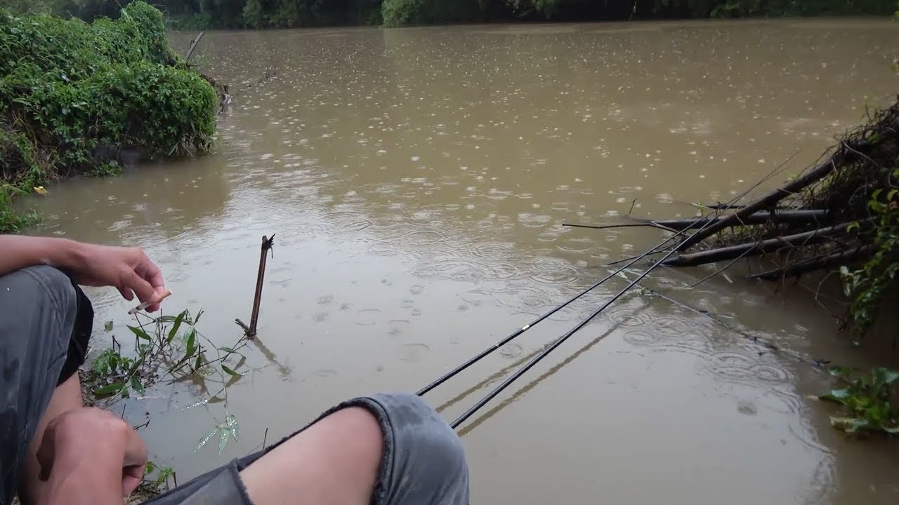 下雨天用蚯蚓釣魚有多牛？ 大貨一條接一條，兩條竿子忙不過來！【野釣長空】