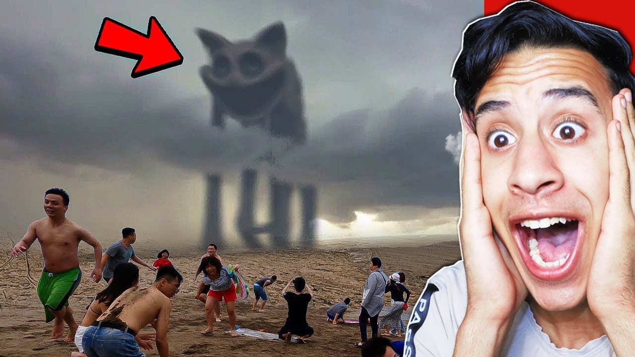 ظهور الكات ناب الحقيقي في شواطي نيويورك ( لن تصدق ماذا فعل ) !!🔥😨