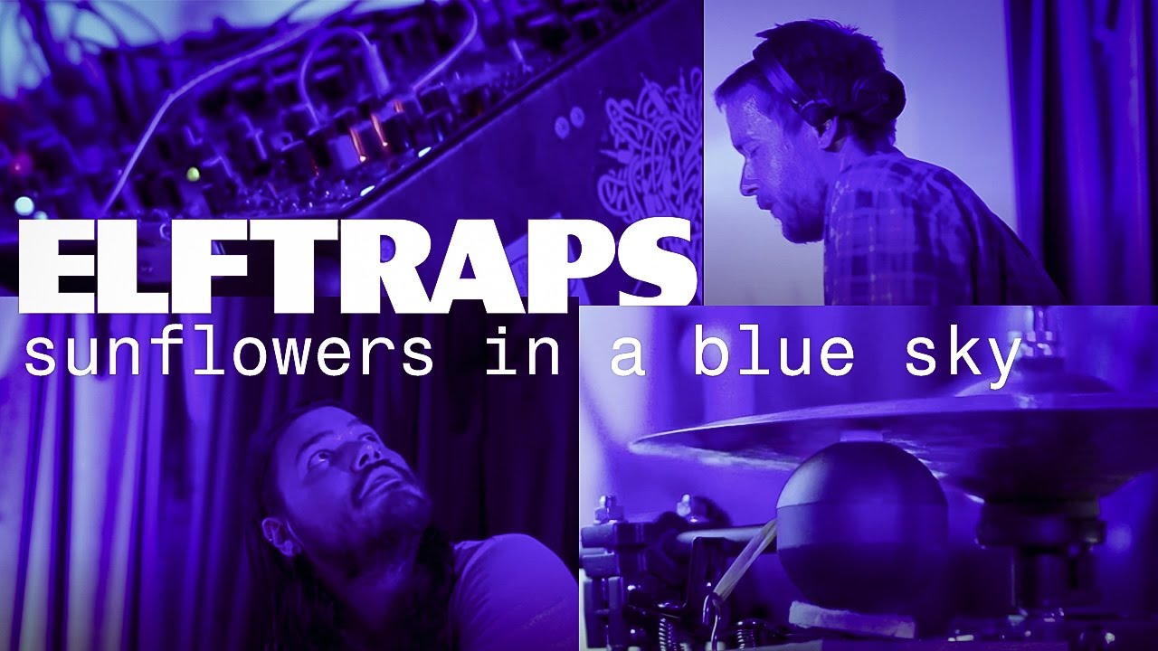 Elf Traps - Sunflowers in a Blue Sky (Live)
