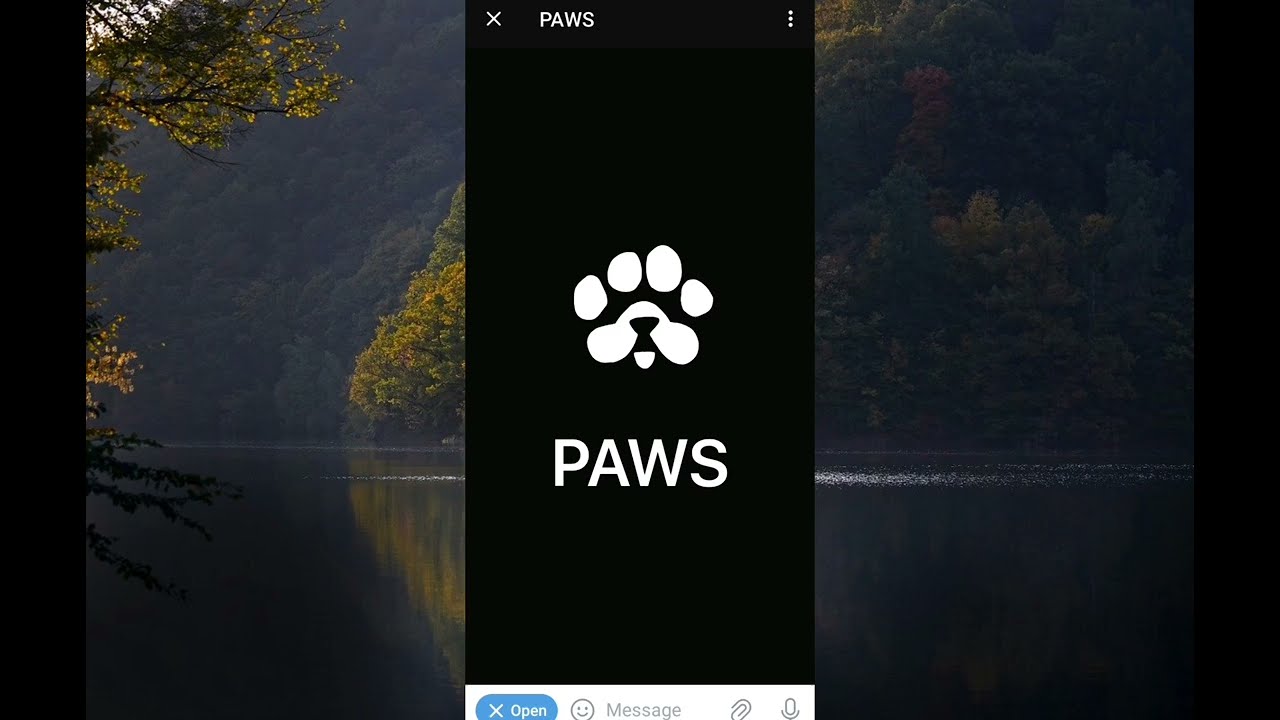 Paws  Eligibility Task And Airdrop Criteria TGE Listing Confirmed