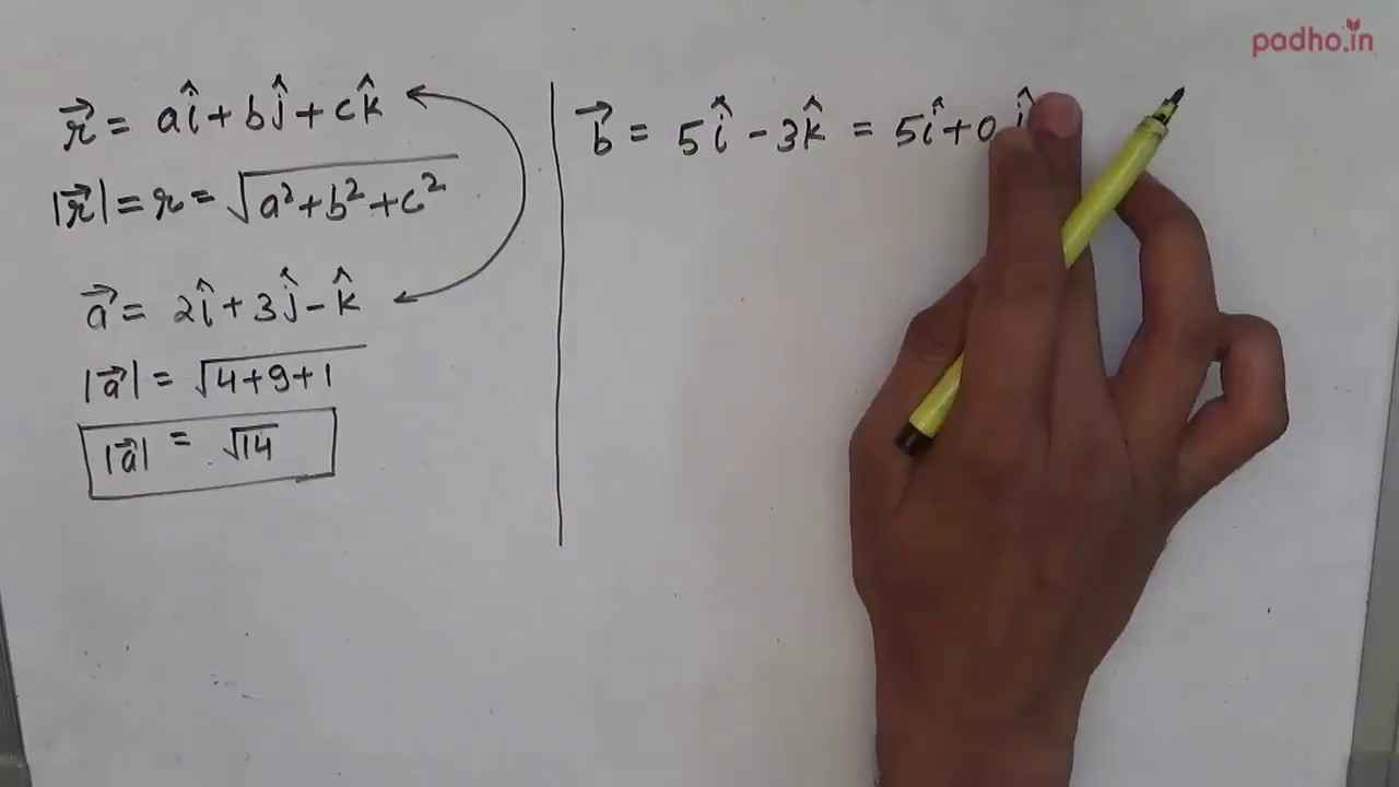 How to Find the Magnitude of a Vector (Hindi) | Class 12th Maths