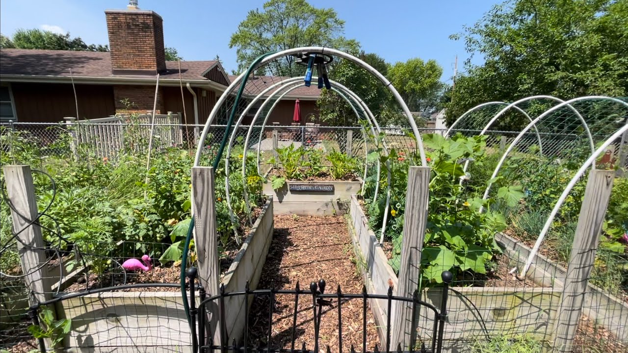 My Garden Exploded!  A Walk Through My Home Garden