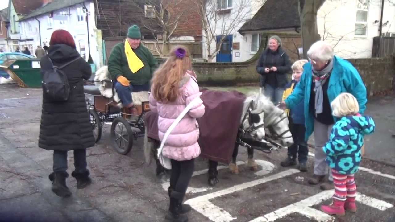 Miniature shetland pair in the water and town.